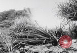 Image Des soldats explose des trous de renards japonais à Angaur WW2 Îles Palaos d'Angaur, 1944, de la seconde 10 séquences d'archives historiques vidéo 65675080164