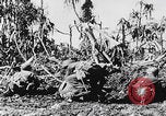 Image Des soldats explose des trous de renards japonais à Angaur WW2 Îles Palaos d'Angaur, 1944, de la seconde 11 séquences d'archives historiques vidéo 65675080164