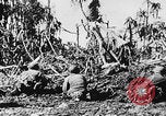 Image Des soldats explose des trous de renards japonais à Angaur WW2 Îles Palaos d'Angaur, 1944, de la seconde 12 séquences d'archives historiques vidéo 65675080164