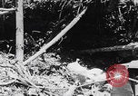 Image Des soldats explose des trous de renards japonais à Angaur WW2 Îles Palaos d'Angaur, 1944, de la seconde 15 séquences d'archives historiques vidéo 65675080164