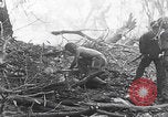 Image Des soldats explose des trous de renards japonais à Angaur WW2 Îles Palaos d'Angaur, 1944, de la seconde 34 séquences d'archives historiques vidéo 65675080164