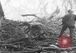 Image Des soldats explose des trous de renards japonais à Angaur WW2 Îles Palaos d'Angaur, 1944, de la seconde 36 séquences d'archives historiques vidéo 65675080164