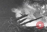 Image Des soldats explose des trous de renards japonais à Angaur WW2 Îles Palaos d'Angaur, 1944, de la seconde 59 séquences d'archives historiques vidéo 65675080164