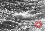 Image Des soldats explose des trous de renards japonais à Angaur WW2 Îles Palaos d'Angaur, 1944, de la seconde 62 séquences d'archives historiques vidéo 65675080164