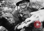Image Les soldats se reposent pendant la bataille d'Angeur Îles Palaos d'Angaur, 1944, de la seconde 25 séquences d'archives historiques vidéo 65675080165
