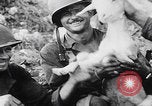 Image Les soldats se reposent pendant la bataille d'Angeur Îles Palaos d'Angaur, 1944, de la seconde 26 séquences d'archives historiques vidéo 65675080165