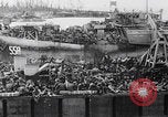 Standbild Schlacht von Angaur Dschungel Landepiste Angaur Palau Inseln, 1944, aus Sekunde 13 historischem Filmmaterial Videoclip 65675080166