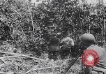 Standbild Schlacht von Angaur Dschungel Landepiste Angaur Palau Inseln, 1944, aus Sekunde 16 historischem Filmmaterial Videoclip 65675080166