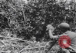 Standbild Schlacht von Angaur Dschungel Landepiste Angaur Palau Inseln, 1944, aus Sekunde 17 historischem Filmmaterial Videoclip 65675080166