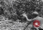 Standbild Schlacht von Angaur Dschungel Landepiste Angaur Palau Inseln, 1944, aus Sekunde 18 historischem Filmmaterial Videoclip 65675080166