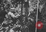 Standbild Schlacht von Angaur Dschungel Landepiste Angaur Palau Inseln, 1944, aus Sekunde 20 historischem Filmmaterial Videoclip 65675080166