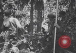 Standbild Schlacht von Angaur Dschungel Landepiste Angaur Palau Inseln, 1944, aus Sekunde 22 historischem Filmmaterial Videoclip 65675080166