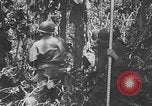 Standbild Schlacht von Angaur Dschungel Landepiste Angaur Palau Inseln, 1944, aus Sekunde 23 historischem Filmmaterial Videoclip 65675080166