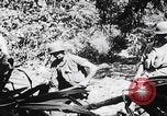 Standbild Schlacht von Angaur Dschungel Landepiste Angaur Palau Inseln, 1944, aus Sekunde 28 historischem Filmmaterial Videoclip 65675080166