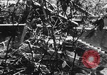 Standbild Schlacht von Angaur Dschungel Landepiste Angaur Palau Inseln, 1944, aus Sekunde 35 historischem Filmmaterial Videoclip 65675080166