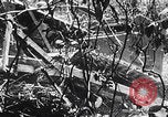 Standbild Schlacht von Angaur Dschungel Landepiste Angaur Palau Inseln, 1944, aus Sekunde 36 historischem Filmmaterial Videoclip 65675080166