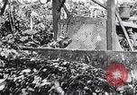 Standbild Schlacht von Angaur Dschungel Landepiste Angaur Palau Inseln, 1944, aus Sekunde 41 historischem Filmmaterial Videoclip 65675080166