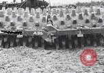 Standbild Schlacht von Angaur Dschungel Landepiste Angaur Palau Inseln, 1944, aus Sekunde 46 historischem Filmmaterial Videoclip 65675080166
