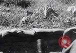 Image of 81st Infantry Division troops attack Suicide Hill on Angaur Angaur Palau Islands, 1944, second 27 stock footage video 65675080168