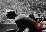Image of 81st Infantry Division troops attack Suicide Hill on Angaur Angaur Palau Islands, 1944, second 30 stock footage video 65675080168