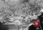 Image of 81st Infantry Division troops attack Suicide Hill on Angaur Angaur Palau Islands, 1944, second 31 stock footage video 65675080168