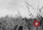 Image of 81st Infantry Division troops attack Suicide Hill on Angaur Angaur Palau Islands, 1944, second 33 stock footage video 65675080168