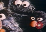 Immagine di Jim Henson i Muppet New York City USA, 1977, secondo 20 filmato di repertorio 65675080181