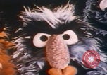 Immagine di Jim Henson i Muppet New York City USA, 1977, secondo 22 filmato di repertorio 65675080181