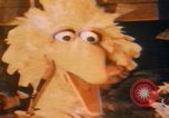 Immagine di Jim Henson i Muppet New York City USA, 1977, secondo 28 filmato di repertorio 65675080181