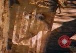 Immagine di Jim Henson i Muppet New York City USA, 1977, secondo 29 filmato di repertorio 65675080181