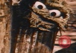 Immagine di Jim Henson i Muppet New York City USA, 1977, secondo 30 filmato di repertorio 65675080181