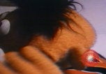 Immagine di Jim Henson i Muppet New York City USA, 1977, secondo 53 filmato di repertorio 65675080181