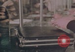 Image of Iranian banking and industry Iran, 1973, second 11 stock footage video 65675080185
