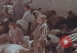 Image of Iran rural healthcare Iran, 1973, second 5 stock footage video 65675080193