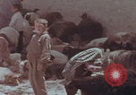 Image of Iran rural healthcare Iran, 1973, second 6 stock footage video 65675080193