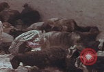 Image of Iran rural healthcare Iran, 1973, second 7 stock footage video 65675080193