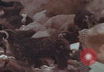 Image of Iran rural healthcare Iran, 1973, second 9 stock footage video 65675080193