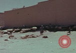 Image of Iran rural healthcare Iran, 1973, second 14 stock footage video 65675080193