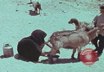 Image of Iran rural healthcare Iran, 1973, second 20 stock footage video 65675080193