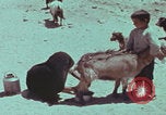 Image of Iran rural healthcare Iran, 1973, second 21 stock footage video 65675080193