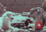 Image of Iran rural healthcare Iran, 1973, second 23 stock footage video 65675080193