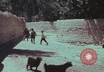 Image of Iran rural healthcare Iran, 1973, second 25 stock footage video 65675080193
