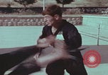 Image of Iranian soldiers training Iran, 1973, second 18 stock footage video 65675080195