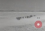 Image of locomotive train Iran Iran, 1944, second 21 stock footage video 65675080204