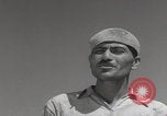 Image of Iran WW2 Tehran Iran, 1944, second 50 stock footage video 65675080205