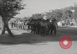 Image of US Army Hospital Tehran Tehran Iran, 1956, second 55 stock footage video 65675080210