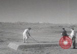Image of US Army families swim and play golf Tehran Iran, 1956, second 52 stock footage video 65675080211