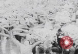 Image of May Day parade  Canton China, 1968, second 30 stock footage video 65675080221