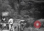 Immagine di Arresti di blocchi stradali nella zona di guerra del Congo Africa centrale, 1960, secondo 23 filmato di repertorio 65675080230