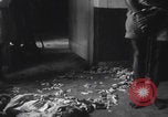 Immagine di Arresti di blocchi stradali nella zona di guerra del Congo Africa centrale, 1960, secondo 43 filmato di repertorio 65675080230